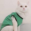 Lulala Polyester Pet Shirts - Printed Puppy Sleeveless Sweatshirts, Soft Summer Dog Clothing, Breathable Pet Apparel Outfits for Dogs &amp; Cats (Parrot Green, 20 INCH), 1 Count