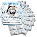 Dry Ice Packs for Shipping XL - Long Lasting ice Packs - 24+ Hour Freeze Power - BPA Free - 24 Pack Bulk 9 lb – Hielo Seco - Reusable Gel Bricks for Food
