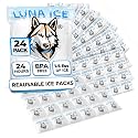 Dry Ice Packs for Shipping CUBES - Long Lasting ice Packs - 24+ Hour Freeze Power - BPA Free - 24 Pack Bulk 1.5 lb – Hielo Seco - Reusable Gel Bricks for Food