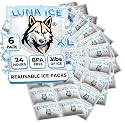 Dry Ice Packs for Shipping XL - Long Lasting ice Packs - 24+ Hour Freeze Power - BPA Free - 6 Pack Bulk 3 lb – Hielo Seco - Reusable Gel Bricks for Food