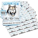 Dry Ice Packs for Shipping - Long Lasting ice Packs - 24+ Hour Freeze Power - BPA Free - 12 Pack Bulk 3 lb – Hielo Seco - Reusable Gel Bricks for Food