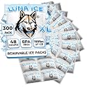 Dry Ice Packs for Shipping XL - Long Lasting ice Packs - 24+ Hour Freeze Power - BPA Free - 300 Pack Bulk 150 lb – Hielo Seco - Reusable Gel Bricks for Food