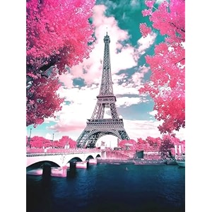 lupinezdiy 5d diamond digital painting 30cm x 40cm rhinestone painting suitable for home hospital office suitable for adults amp kids zb 1676