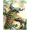 LUPINEZDIY 5D Diamond Digital Painting 30cm x 40cm Rhinestone Painting Suitable for Home Hospital Office Suitable for Adults &amp; Kids (ZB 1669)