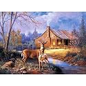 LUPINEZDIY 5D Diamond Digital Painting 30cm x 40cm Rhinestone Painting Suitable for Home Hospital Office Suitable for Adults &amp; Kids (ZB 1668)