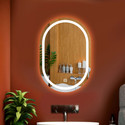 LUPPRA Capsule Wall Mounting Mirror with Light 17.5X23.5 inch Bathroom Mirror (Decorative Finish : Polished)