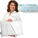Toddler Pillow for 2 Year Old to 5 Year Old: Soft, Washable Pillow (White)