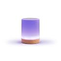 LuvLink Friendship Lamp v2.0 - Long Distance WiFi Touch Lamps for Couples, Friends &amp; Family | Stay Connected from Anywhere – Easy App Setup – No Subscription (Single)
