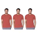 Lux Nitro Men's Regular Fit (Round Neck T-Shirt_Spiced Coral 2XL)