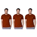 Lux Nitro Men's Regular Fit (Round Neck T-Shirt_Cinnamon Stick XL)