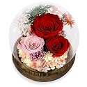 Luxbrand Preserved Flower for Delivery Prime Valentine Gift for Women, Birthday Forever Red Rose Flower Fresh Bouquet, Unique Eternal Flower Gift for Mom Grandma Wife Valentine's Day Gift