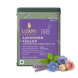 luxmi estates lavender valley white tea 25gm tin  100 fresh  lavender tea  mood fixer low - caffeine  for good sleep relaxation stress relief amp skin health  improves immunity  rich in antioxidant