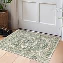 LUXRUG 2x3 Rugs for Entryway - Washable