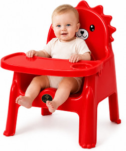 LYOKO 2-in-1 Baby Chair with Removable Food