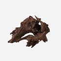 LYPHARD AQUARIUMS Natural Driftwood for Aquarium Decor, L15.35×W10.63×H10.24 Inches Large Drift Wood Decorations for Reptile Hide, Fish Tank, Optional Shapes