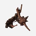LYPHARD AQUARIUMS Natural Driftwood for Aquarium Decor, L13.39×W10.24×H14.17 Inches Large Drift Wood Decorations for Reptile Hide, Fish Tank, Optional Shapes