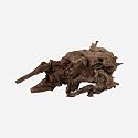 LYPHARD AQUARIUMS Natural Driftwood for Aquarium Decor, L15.75×W6.69×H9.45 Inches Large Drift Wood Decorations for Reptile Hide, Fish Tank, Optional Shapes