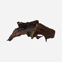 LYPHARD AQUARIUMS Natural Driftwood for Aquarium Decor, L17.32×W15.75×H7.87 Inches Large Drift Wood Decorations for Reptile Hide, Fish Tank, Optional Shapes