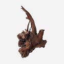 LYPHARD AQUARIUMS Natural Driftwood for Aquarium Decor, L11.81×W11.02×H15.75 Inches Large Drift Wood Decorations for Reptile Hide, Fish Tank, Optional Shapes