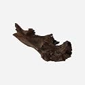 LYPHARD AQUARIUMS Natural Driftwood for Aquarium Decor, L15.75×W7.87×H9.45 Inches Large Drift Wood Decorations for Reptile Hide, Fish Tank, Optional Shapes