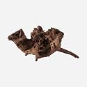 LYPHARD AQUARIUMS Natural Driftwood for Aquarium Decor, L19.69×W9.84×H8.27 Inches Large Drift Wood Decorations for Reptile Hide, Fish Tank, Optional Shapes