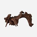 LYPHARD AQUARIUMS Natural Driftwood for Aquarium Decor, L18.11×W12.2×H9.06 Inches Large Drift Wood Decorations for Reptile Hide, Fish Tank, Optional Shapes