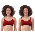 Lyra Cotton Wire Free Women39s Non-Padded T-Shirt