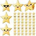 Lyrow 25/50/100/150/300 Pcs Star Pins Bulk