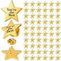 Lyrow 25/50/100/150/300 Pcs Star Pins Bulk
