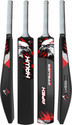 Lyzoo HAWK Hard PlasticFiber Tennis Ball Cricket