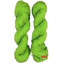 M.G ENTERPRISE Brilon Green (300 gm) Wool Hank Hand Knitting Wool/Art Craft Soft Fingering Crochet Hook Yarn, Needle Knitting Yarn Thread dye D C TD
