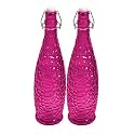 Machak Crick Glass Water Bottle For Fridge 1 ltr (Purple, Set of 2)