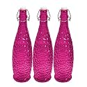 Machak Crick Glass Water Bottle For Fridge 1 ltr (Purple, Set of 3)