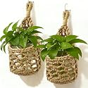Macrame Wall Plant Hanger, Small Hanging Planter Basket Holder, Wall Planters for Indoor Plants, for Up to 4 Inch Pot (Brown, 4-Inch)