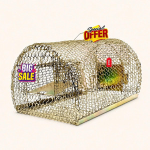 madhutrading pack of 1 chuha pinjra mouse pinjrarat penjrachua pinjramouse live trap