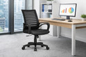 MAESTRO The Rolling Ergonomic Comfort Chairs for