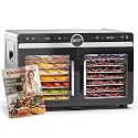 Magic Mill Premium DualZone Food Dehydrator, 16 Stainless Steel Trays with French Doors, Independent Temp Control, Rear Fan, Keep Warm Mode, for Jerky, Fruit, Veggies, Dog Treats, Meal Prep