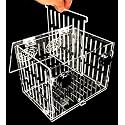 Magnetic Acclimation Breeder Box 4.5" / 8" /12" for Fish Anemone Coral Strong N52 Magnets for 1/2" Glass (8"x6"x6")