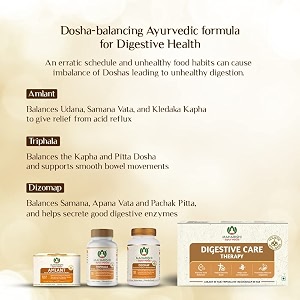 maharishi ayurveda digestive care therapy - for acidity amp gas relief  strengthens the digestive system helps in balancing pitta doshas  herbal amlant therapy or combo or kit