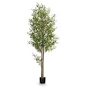 Maia Shop - Artificial Olive Tree - 6ft Indoor Faux Plant