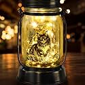 Maine Coon Cat Gifts for Women/Men Maine Coon Solar Lanterns Cat Mom Birthday Cat Lovers Lantern, Pet loss Pet Memorial Lights, Solar Garden Decoration Outside for Yard, Patio,Backyard,Porch