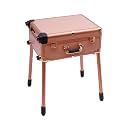 Makeup Train Case with 4 Rolling Wheels &amp; Lights &amp; Mirror Adjustable Legs Rolling Make-Up Case Cosmetic Train Table 12V Mobile Barber Station for Hairstylists Nail Tech (Rose Gold)