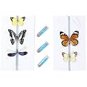 Making Insect Specimen Tools Kit, (300Pcs Insect Pins in Size #1,2,3) & (2 Pack Insect Pinning Boards), Insect Collection Craft Tools for School Lab Science Education Project/Bug Hobbyist