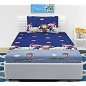 MallowWorld Polycotton Kids Cartoon Soothing Kids Cat Print Bedsheet 1 Single Bedsheet With 1 Pillow Cover Size 60 Inch X 90 Inch (Multicolor)