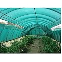 MAMRAJ Green Shade Net 75 UV Sun