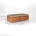 Mamta Furniture Solid Sheesham Wood Diwan Cum Bed with Storage, 3 Seater Sofa Cum Couch, Divan Cot for Home Hall Divan Bed for Living Room, Without Mattress and Without Pillow - Honey Finish