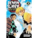 MANGA DEMON SLAYER Vol. 3 (DEMON SLAYER: KIMETSU NO YAIBA) Volume.3