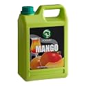 Mango Concentrated Syrup 64 fl. oz. - 6/Case