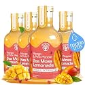 Mango Pink Pepper Sea Moss Electrolyte Lemonade – Exotic Spiced Hydration Drink – No Added Sugar with Sea Moss & Electrolytes – 4 x 12 fl oz Bottles