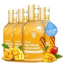 Mango Sea Moss Electrolyte Lemonade – Naturally Sweet Fruit Drink with Sea Moss & Electrolytes – No Added Sugar Hydration & Energy Support – 4 x 12 fl oz Bottles